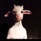 temp-790300's Avatar'