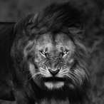 GOD____Zzx's Avatar'