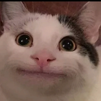 Sebui's Avatar'