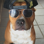 whiffing123's Avatar'