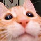 Luzer..'s Avatar'