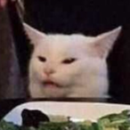 Clam_Chowder's Avatar'