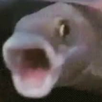 SmurfingFrag's Avatar'
