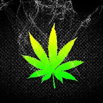 Ta5teTh3Ra1N60W's Avatar'