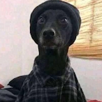 FIXSOUNDPLZ's Avatar'