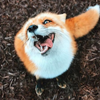 KITSUNE_PIZZI's Avatar'