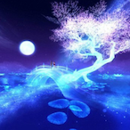 nReaLw's Avatar'