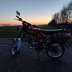 lxon.simson's Avatar'