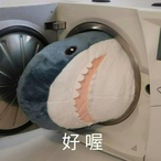 gujiabin2024's Avatar'