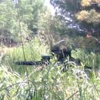 WhiskeyMike204's Avatar