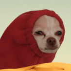 GraylockVailAZ's Avatar'