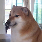 Pixel_Doge41's Avatar'