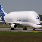 swungbymar_'s Avatar'