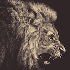 Five_Lions's Avatar