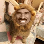 SteveCat2.0's Avatar'
