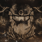 Layzbeard's Avatar'