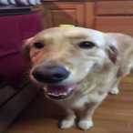 IHumanWasteI's Avatar'