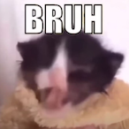 uberburps743's Avatar'