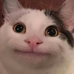 MonkeBolls's Avatar'