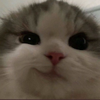 KLUTCHKiWi's Avatar'