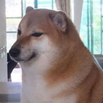Toastyy.xp's Avatar'