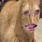 MrGubGubs's Avatar'
