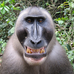 ButterMutter69's Avatar'