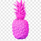someplayer3245's Avatar'
