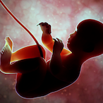 Real-Fetus's Avatar'