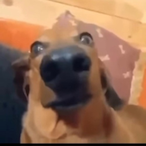 AgentChud.'s Avatar'