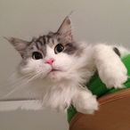 LaBlubbAlex's Avatar