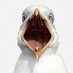 CuhCawMF's Avatar'