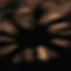LieuSanus's Avatar'
