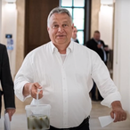 missingccv's Avatar'