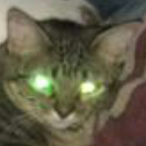 BocaMole's Avatar'