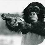 Yaaky's Avatar'
