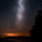 Mini_Epstein's Avatar'