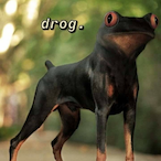 DravaiBoixd's Avatar'