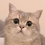 YXmiracle's Avatar'