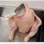 SwingOrBeSwung.'s Avatar'