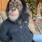 MattWith2ts.'s Avatar'