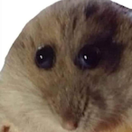 jimmy sabbil's Avatar'