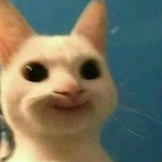 QiantiAC's Avatar'