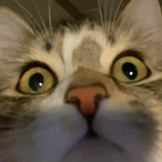 iluvprettytoes_'s Avatar'