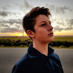 Birckovski's Avatar'