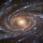 guest-rhKoxT8L's Avatar