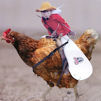 CargoWizard's Avatar'