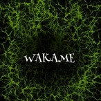 WAKAME1n's Avatar'