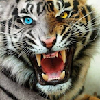 SAB F2's Avatar'