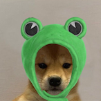 Vexziti's Avatar'